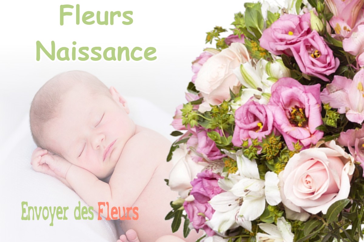 lIVRAISON FLEURS NAISSANCE à MIZOEN